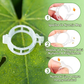 🥳 OFERTA TOP 2026 🥳 💞 ¡Más de 100K vendidos! ✨ 💝 Clips de plástico seguros para plantas