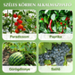 🥳 OFERTA TOP 2026 🥳 💞 ¡Más de 100K vendidos! ✨ 💝 Clips de plástico seguros para plantas