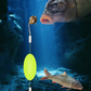 【1+2 ajándék】🐟kal növeli a horogkötési arányt - mondj búcsút a fennakadásoknak! 🎣