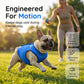 🐶IDŐKORLÁTOS 50% KEDVEZMÉNY! ✨Hűsítő kutyamellény – lélegző hálós anyag🌊