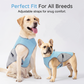 🐶 MOST 50% KEDVEZMÉNY! ☀️ Hőelvezető, fényvisszaverő kutyahordozó – Ice-silk anyagból, állítható – nyáron hűvös érzést biztosít kedvencének 🐾🌊✨