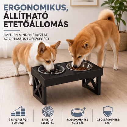 🐕 Állítható magasságú állatetető – Cicáktól nagy kutyákig