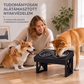 🐕 Állítható magasságú állatetető – Cicáktól nagy kutyákig