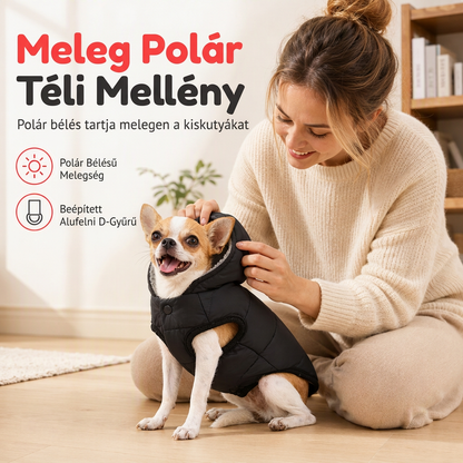 🐾✨ Kapucnis kutyakabát – béléses gyapjúval, szélálló 🧥